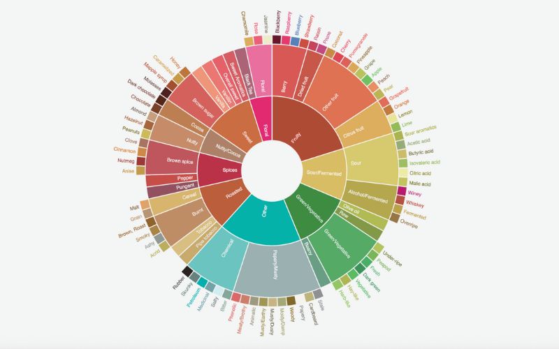 The official SCA Coffee Taster's Flavor Wheel, showing its colorful and layered design.