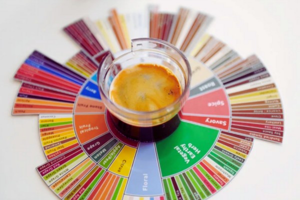 Thumbnail for The Coffee Tasting Wheel: A Sensory Journey